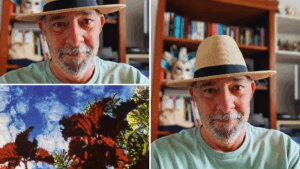 Entre o Mar da Bahia e o Papel: Os Enredos e Personagens de Luís Bacelar Vidal