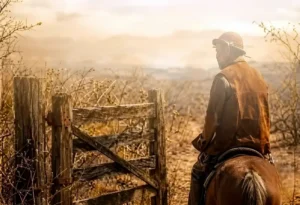 Carolino, de Efigênio Moura – por Irani Medeiros