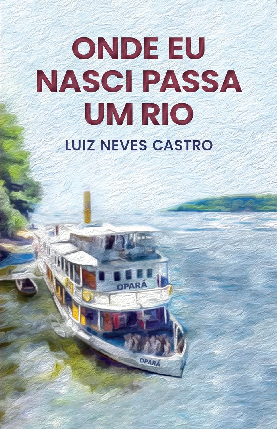 ONDE EU NASCI PASSA UM RIO, Luiz Castro