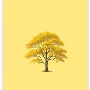 WhatsApp Image 2026-01-20 at 09.32.39